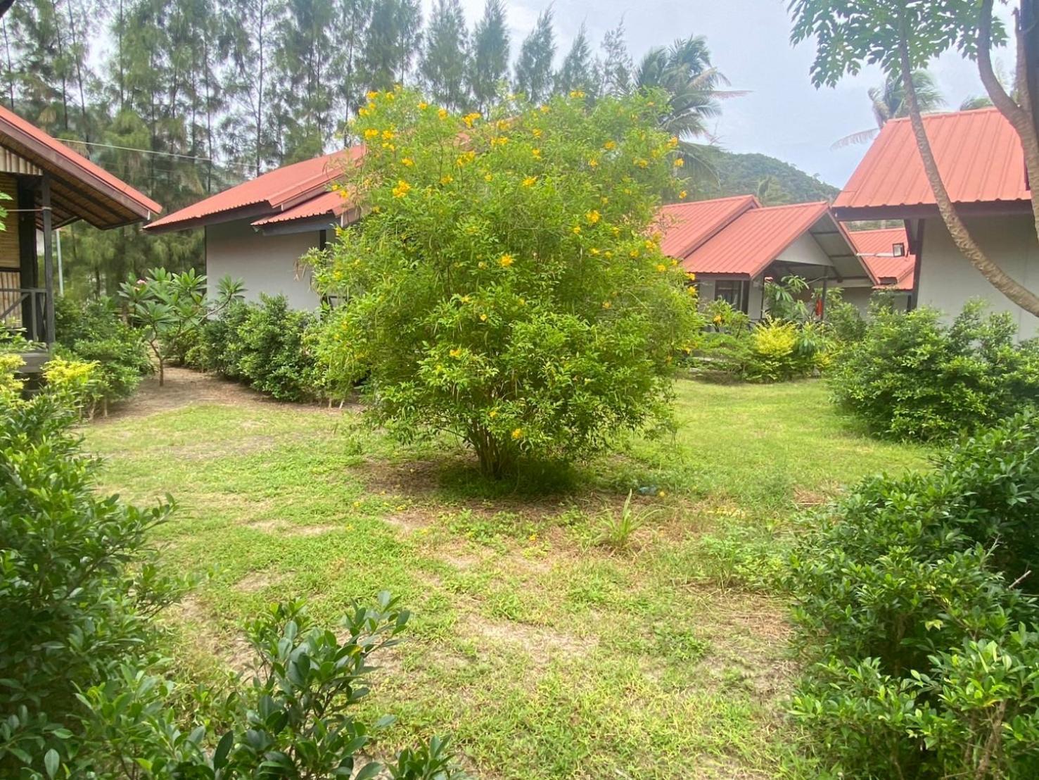Phangan Chalet Bungalow & House Ban Chalok Lam Esterno foto