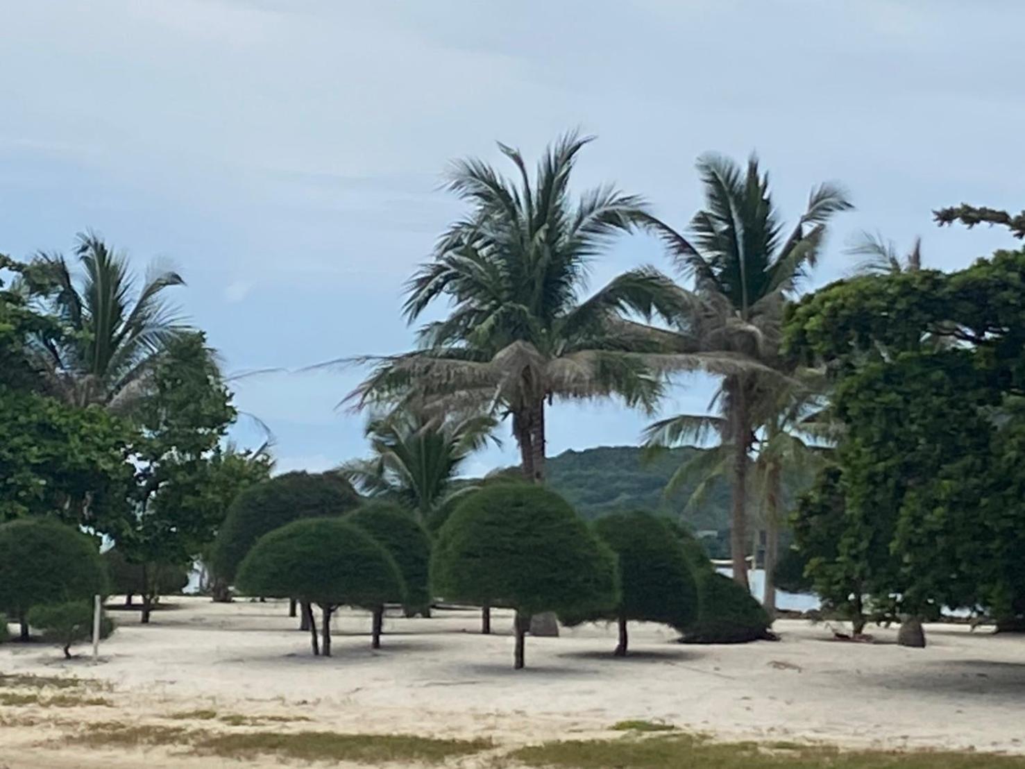 Phangan Chalet Bungalow & House Ban Chalok Lam Esterno foto